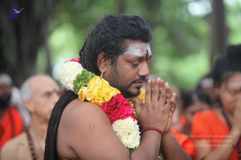 File:20170902 Photo 1719 1PRFNjOk7FDiBijpyqSiL9jKRs3uv cYa.JPG