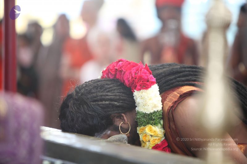 File:20170902 Photo 1721 1lnCFXHf0o5Z nx5PdKd DL0trTPnncia.JPG