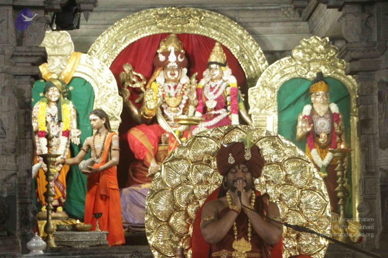 File:20170905 Photo 1035 1yfecotfXiQF3cCU03 H5QB40B-81Q9da.JPG