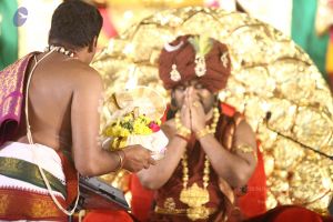 20170905 Photo 1508 1ed6By230WDrGwExP1ma2eKImGMPOZaTi.JPG