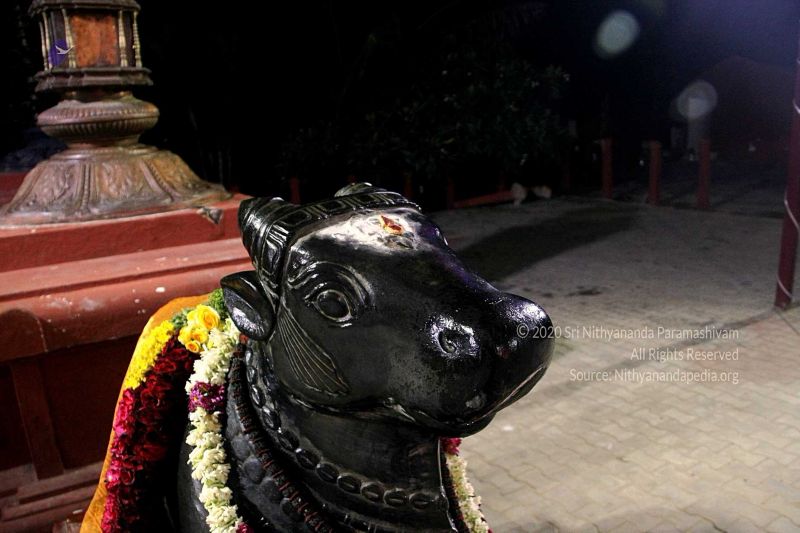 File:20170905 Photo 435 1fUlGDTQjW69peOAFgVqpBRccyzAa2upe.jpg