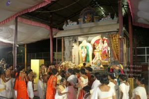 20170905 Photo 508 15h 6ieuUB31Ggljepo8rULOWecTNeRfz.jpg