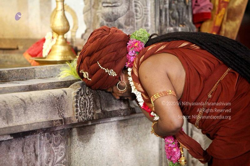 File:20170905 Photo 616 1F7hG9K08LTKuFtZdI1AYccBnF2g4xpUG.jpg