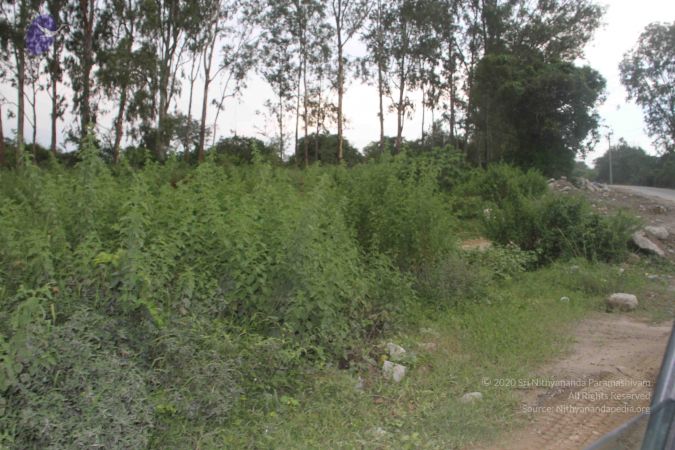 20170906 Photo 1068 1E7PdotrgT4Hj1ANVamfmW6MbHSrBD7d9.JPG