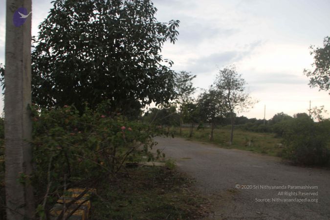 20170906 Photo 1070 1JrCSRnFT1GYAfBPAfotKZcm5g4zHeKXz.JPG