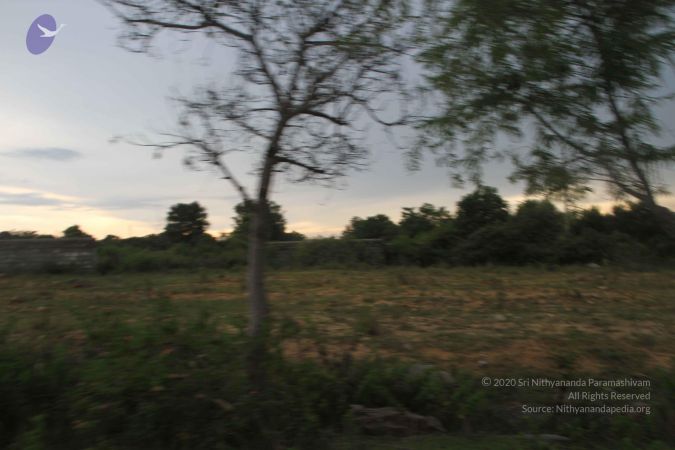 20170906 Photo 1074 15RneswTluqH1aADsLOHfjpRmP2w2kp9k.JPG