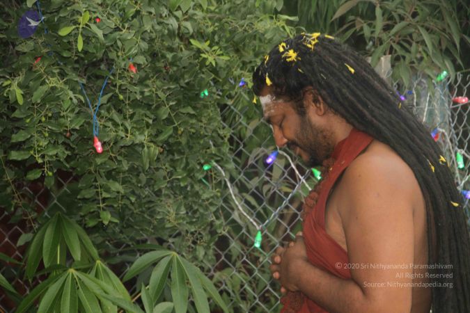 20170906 Photo 1091 13hMlS-XrWIe fReCu291evwddwV7 Crk.JPG