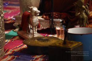 20170909 Photo 1499 1vwbrxDh3A4fofDZT7nRvZbR0LKZk6w5C.JPG