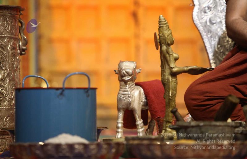 File:20170909 Photo 365 1UgLv x-A8fKD HrfBvJjBP-27FVW0CC .jpg