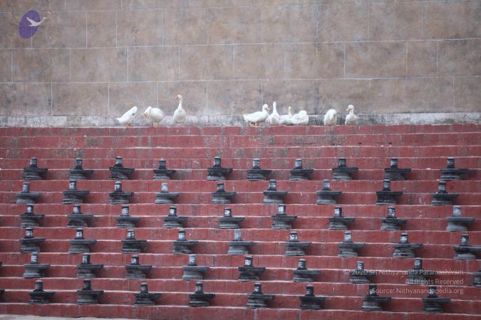 20170911 Photo 1010 12NBieWbAd2HuNn4cQbCrRZU5jNTU3Ji9.JPG