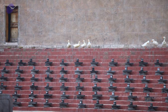 20170911 Photo 1011 1XwXQ9CAkqF5cO1Zx1GChAejtCWJaeSQi.JPG