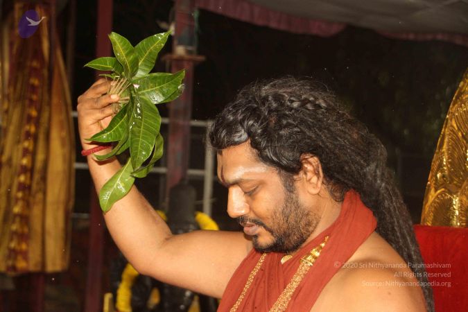 20170911 Photo 1228 10nOvb7Xl0F0gsWdpK-H4MaTS5Eiz9ihW.JPG