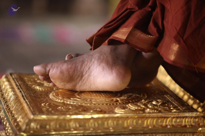 20170911 Photo 1261 1zgeSnGNtub1QDUifuzx2XPueCf1Y6Brl.JPG