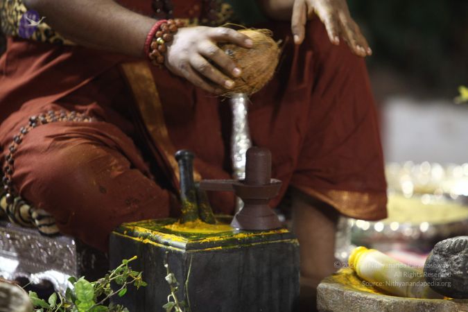 20170914 Photo 1425 1U97mGEpcYXHy4V4kTPZZKIRoPtYz6Wft.JPG