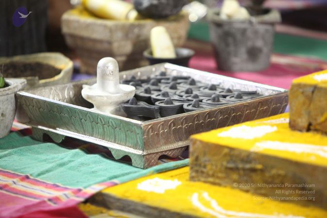 20170914 Photo 1538 1HqJk8Lbrrnt-HcirDxwXtza83A9ZQ5TB.JPG