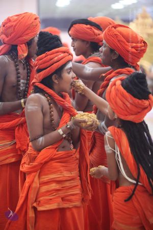 20170919 Photo 1323 1bRu-PKkV02LZ7yUUYJyQqomjDYKOacSK.JPG