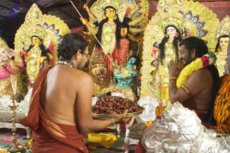 File:20170921 Photo 1043 1iqJxMeigKvd13XXVCpEMNLcPTRLcJDI7.JPG