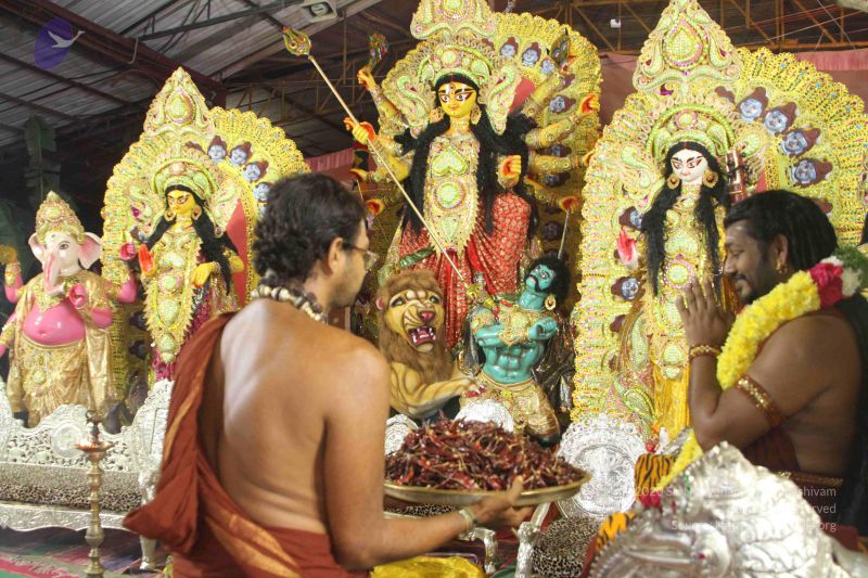 File:20170921 Photo 1044 1bVsYd-GKFG 35kfAyQwL4EKcRocUYwMG.JPG