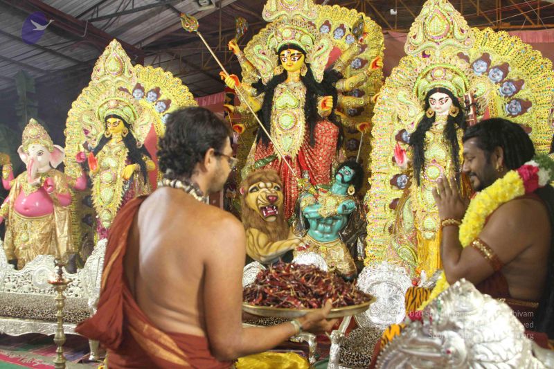 File:20170921 Photo 1046 1~SiVp-rfrFgsnk02gBmTlRmOTUZJoSd.JPG