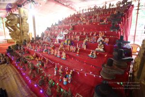 20170921 Photo 1290 1UgXe2FAONENHwzHdEDuwjdma5SDrYQij.JPG