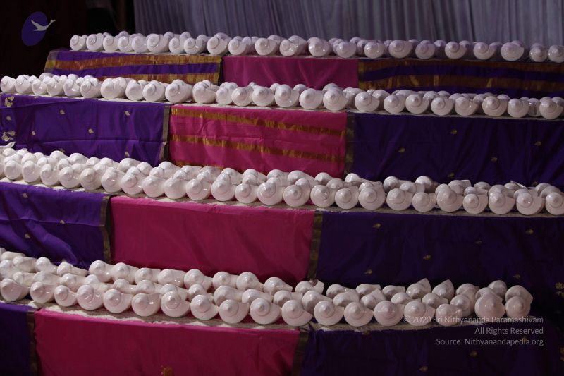 File:20170921 Photo 1326 17oJ2 VRd7OYzmTPQe47MkZ iUt2nOd0y.JPG