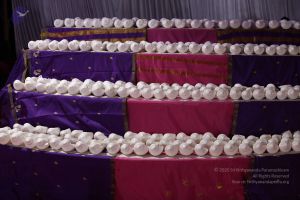 20170921 Photo 1327 1cJlh0eKJWyyf19GDhmM7eFDTSnC0c14N.JPG