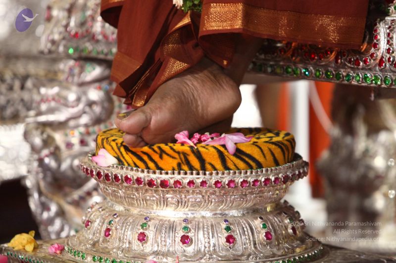 File:20170921 Photo 1451 1KMO2 AhO F9cLwGHkmbDB9WMnqZQ80he.JPG