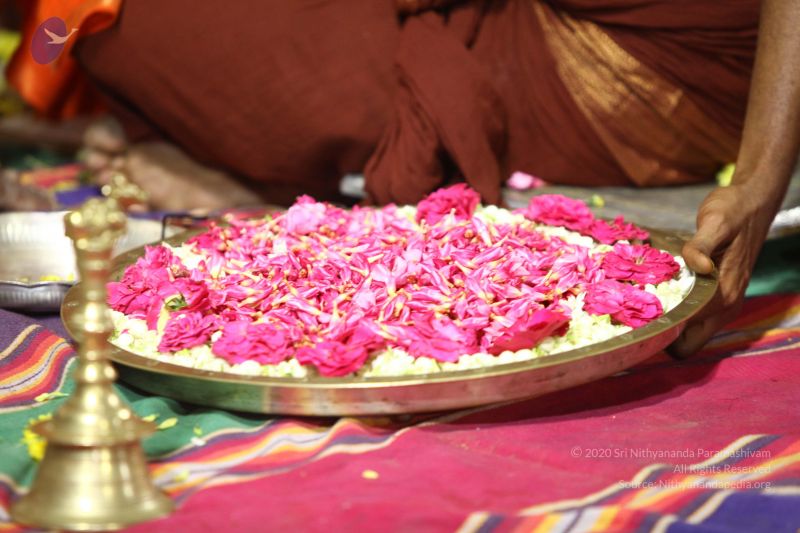 File:20170921 Photo 1564 1aiV8AfqLpTKNMobDMUtEvwKRJbA2fK6p.JPG