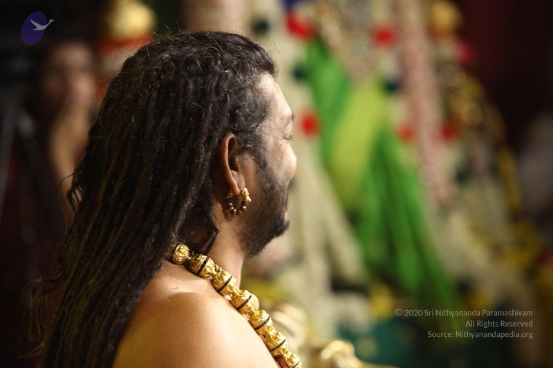 File:20170921 Photo 2340 1zkC0WdArR9PCKqzcREhGd4cQ8HomicoJ.JPG