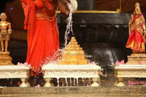 20170921 Photo 433 1x3 i1GYG04-KmpnILWjTiewas2wjzz2b.jpg