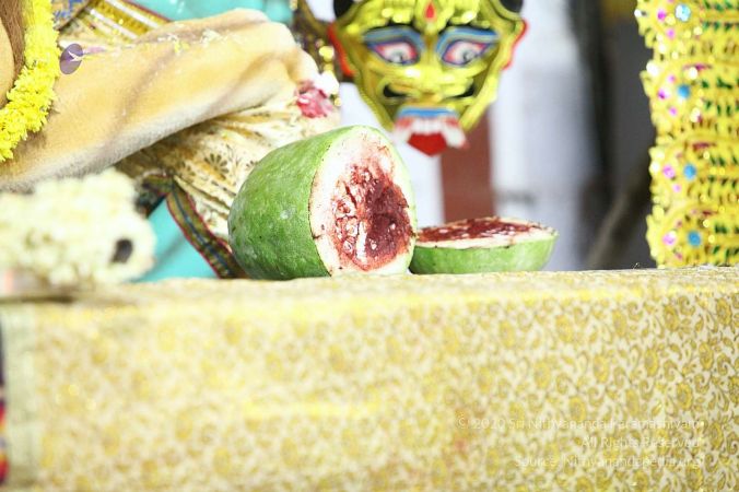 20170928 Photo 2469 1vlotb-GNUyeZb53Abrtbo8rFBdZ5qeOE.jpg