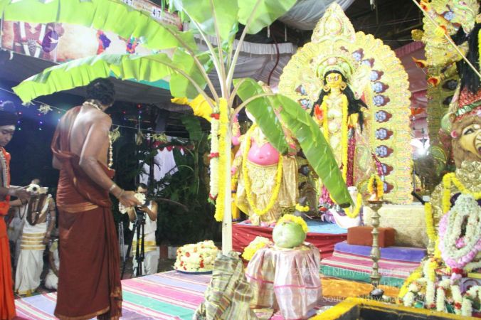 20170928 Photo 3128 1R1SeDLhd1XRcEfzJnIiGVY4WZJGF699P.jpg