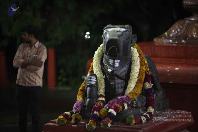 20171001 Photo 1120 13xiaxbnLEdDi9RPjVNmmydo2vn19HF82.JPG