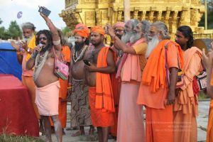 20171003 Photo 1034 1oR1erOIqZRkxLw7CEvvT7rhQZR9liJSj.jpg