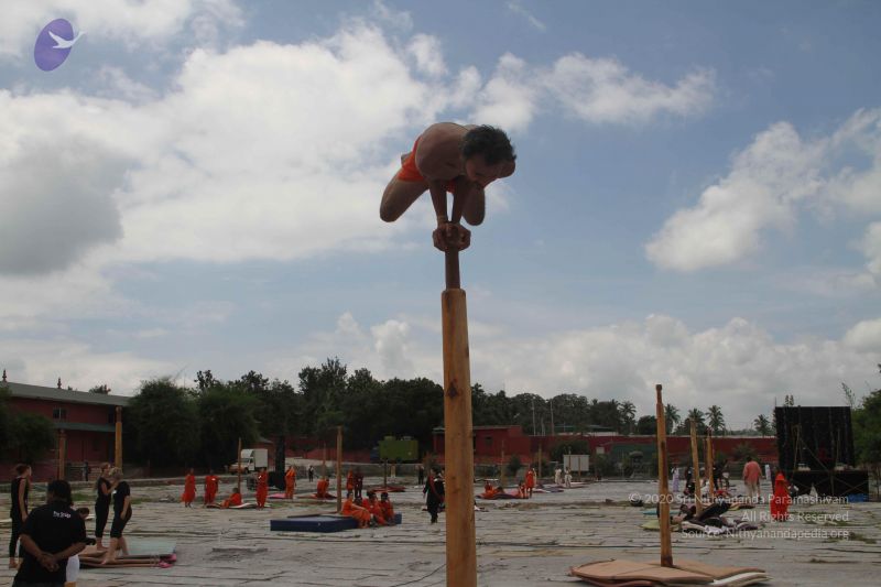 File:20171003 Photo 1039 1vybWqkHad0ru7i8hySFtD3BxCp9GsIQR.JPG