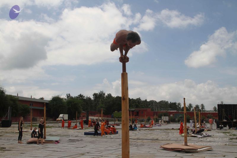 File:20171003 Photo 1040 1gdY0gne9HwCCNmwmfKiVj45XBdCiXQHl.JPG