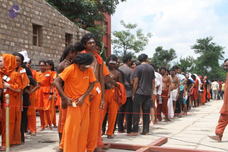 File:20171003 Photo 1063 1XkEOdX9kWQB K7xjtBrVEV7BZChXUrDf.JPG