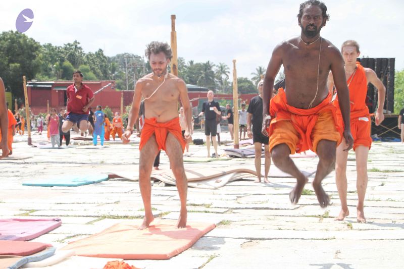 File:20171003 Photo 1107 18TVRapdzXgrLJ-u2GimF2EN0W5W8wX0i.JPG