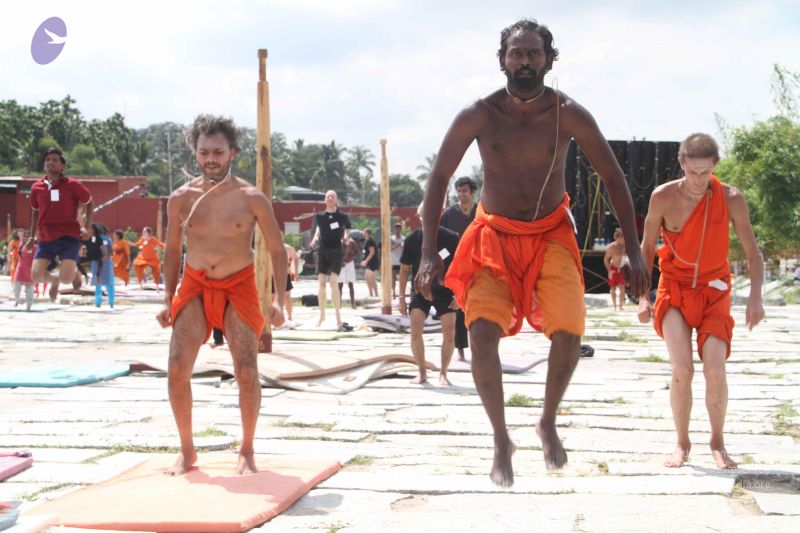 File:20171003 Photo 1110 1UmKHOFrH8ez-Bq43D2nyDGoFy9DbCYMy.JPG