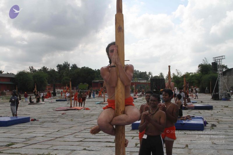 File:20171003 Photo 1172 1C7sROty1dHyVOCf0 ouoTLjNcpwwfmtT.JPG