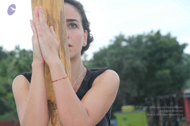 File:20171003 Photo 1185 1q9QoEh3asW5vVzZ-yeoN5ATruIrRGQd5.JPG