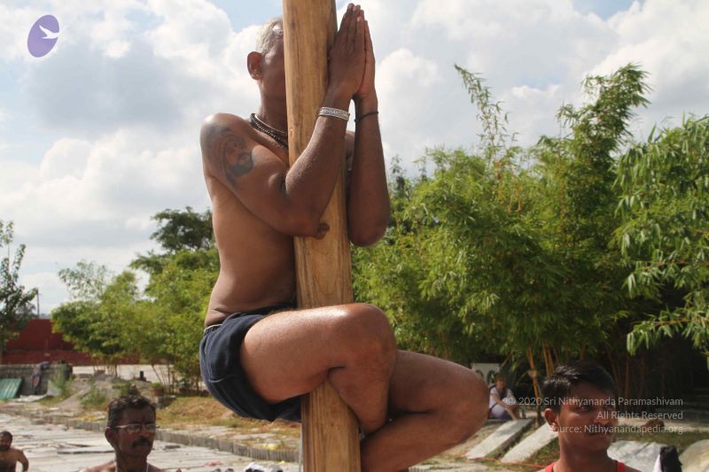 File:20171003 Photo 1198 1mMsVnJQItaDZDCdm9iKmxbAo687KnKWl.JPG