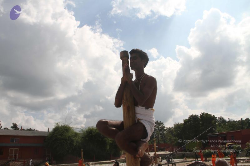 File:20171003 Photo 1202 1dKHwfLgzWtBppzS imn4h01aQrkQ91YW.JPG