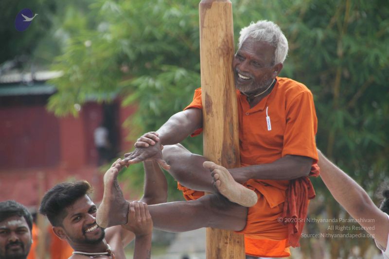 File:20171003 Photo 1219 1EIfxdCqcrgczVvM2fVZNO0IHfZc0a6bx.JPG