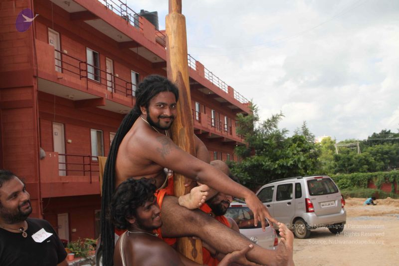 File:20171003 Photo 1221 1ebGaIHvr02czMJLW9M6xkRoTA5OWzkSc.JPG