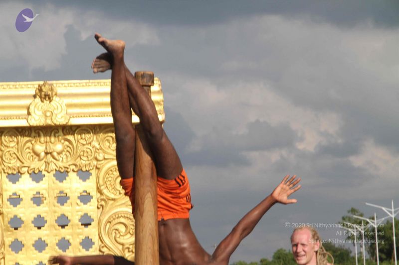 File:20171003 Photo 1297 1cVgionU5z9JTwt6uZCRjY95JkwvnY517.JPG