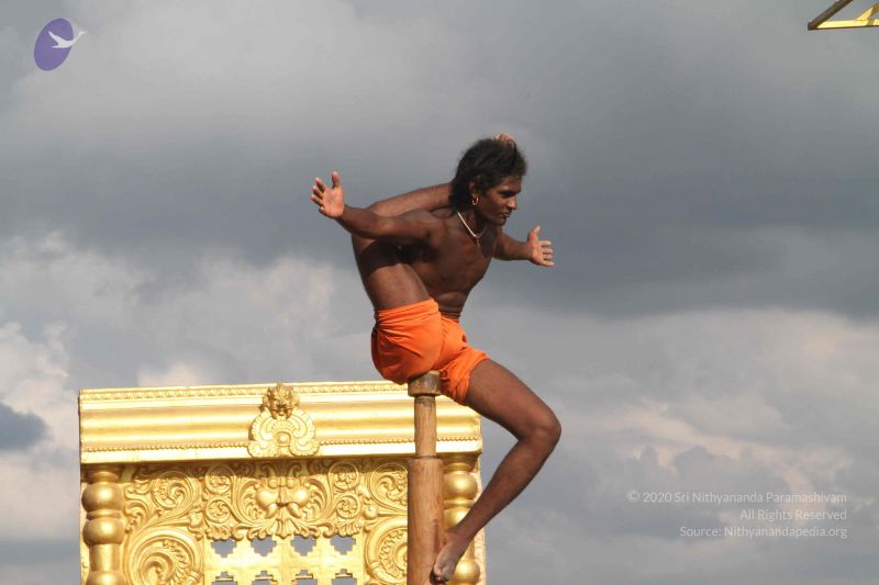 File:20171003 Photo 1305 1fmVM4nNBT4ihIeGiQIPdHeRSCCBb90Zh.JPG