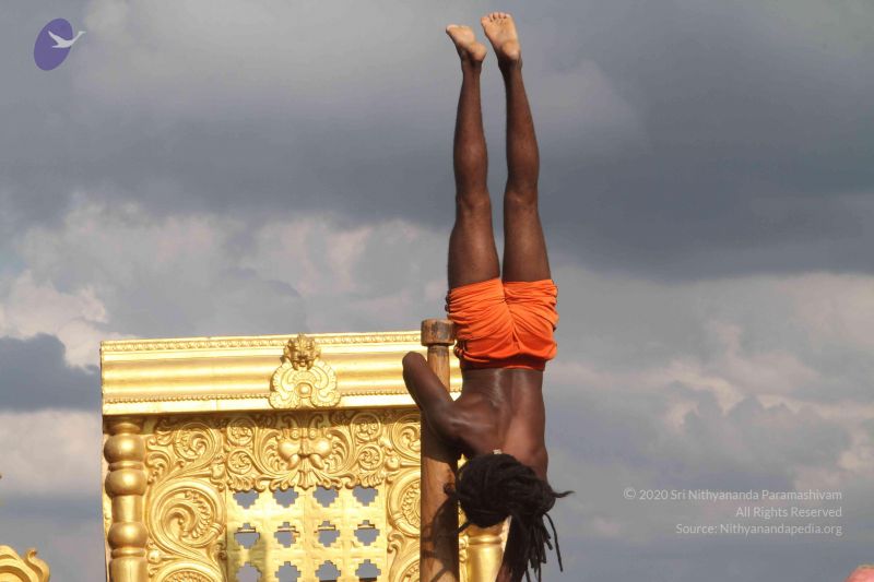 File:20171003 Photo 1308 11i39eEc1tCz5FeiP50Nam1BEvqXihkN-.JPG