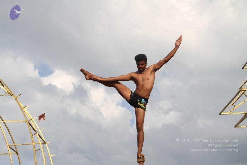 File:20171003 Photo 1327 1LNKJcC49rClr9o U9AF6x-2jd43kJqJD.JPG