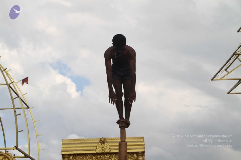 File:20171003 Photo 1343 1XpEfKKr3h3bLbBZPqJ14jDvFtGiEKfj3.JPG